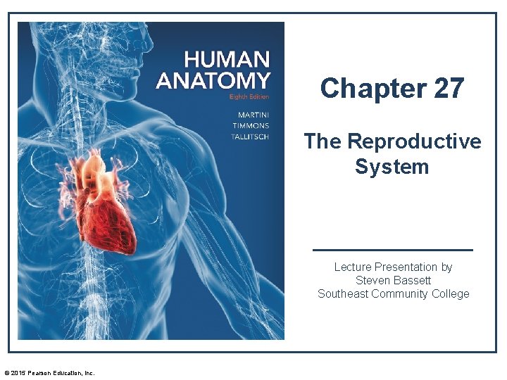 Chapter 27 The Reproductive System Lecture Presentation by Steven Bassett Southeast Community College ©