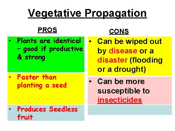 Vegetative Propagation PROS CONS • Plants are identical • Can be wiped out –