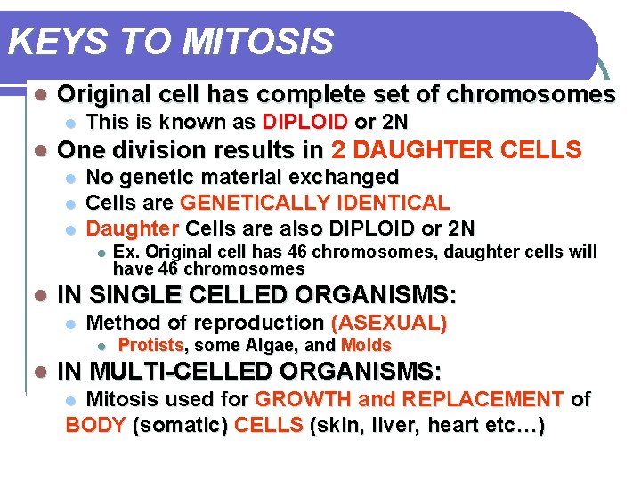 KEYS TO MITOSIS l Original cell has complete set of chromosomes l l This