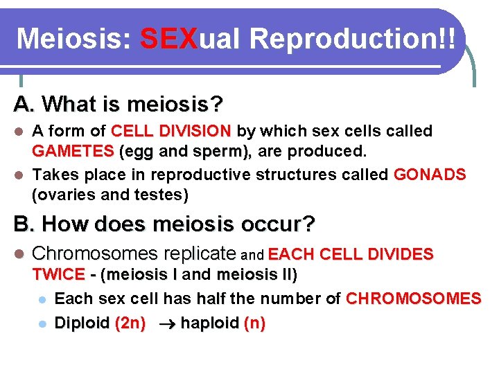 Meiosis: SEXual Reproduction!! A. What is meiosis? A form of CELL DIVISION by which