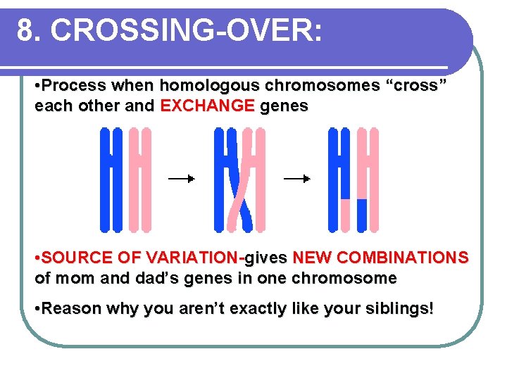 8. CROSSING-OVER: • Process when homologous chromosomes “cross” each other and EXCHANGE genes •