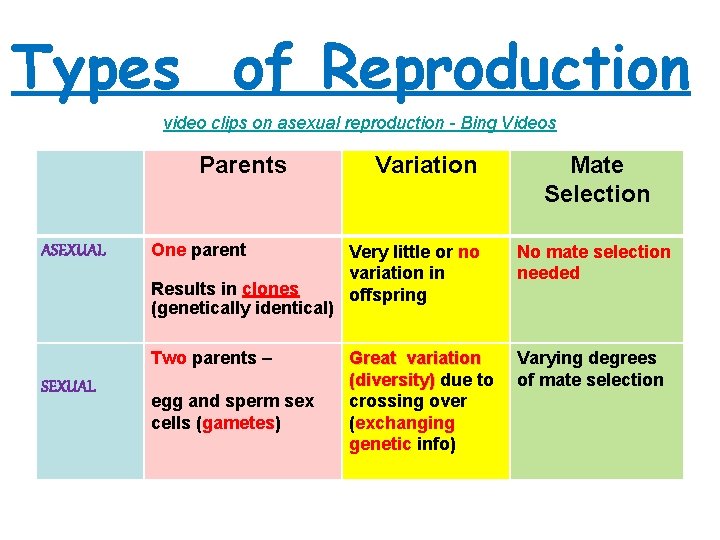 Types of Reproduction video clips on asexual reproduction - Bing Videos Parents ASEXUAL One