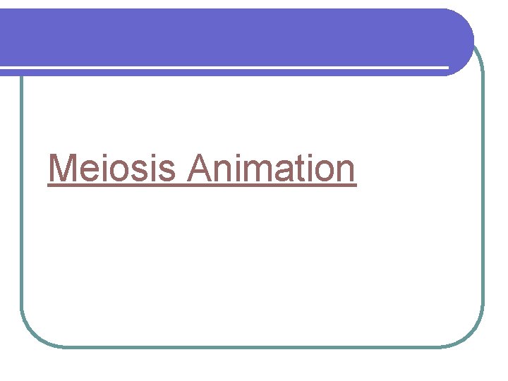 Meiosis Animation 