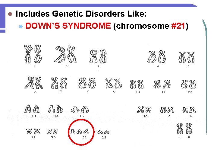 l Includes Genetic Disorders Like: l DOWN’S SYNDROME (chromosome #21) 