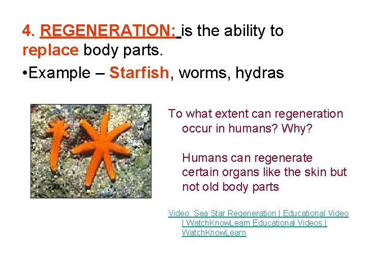 4. REGENERATION: is the ability to replace body parts. • Example – Starfish, worms,