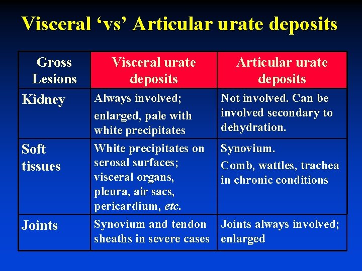 Visceral ‘vs’ Articular urate deposits Gross Lesions Kidney Visceral urate deposits Articular urate deposits