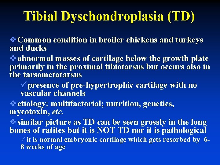 Tibial Dyschondroplasia (TD) v. Common condition in broiler chickens and turkeys and ducks vabnormal