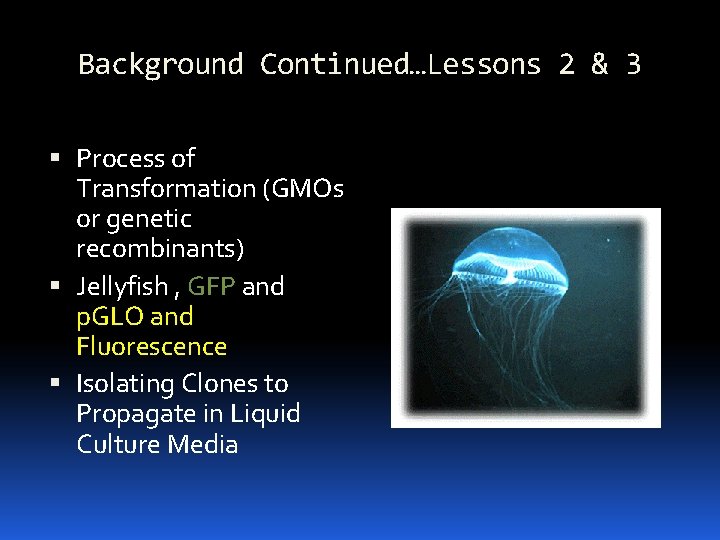 Background Continued…Lessons 2 & 3 Process of Transformation (GMOs or genetic recombinants) Jellyfish ,
