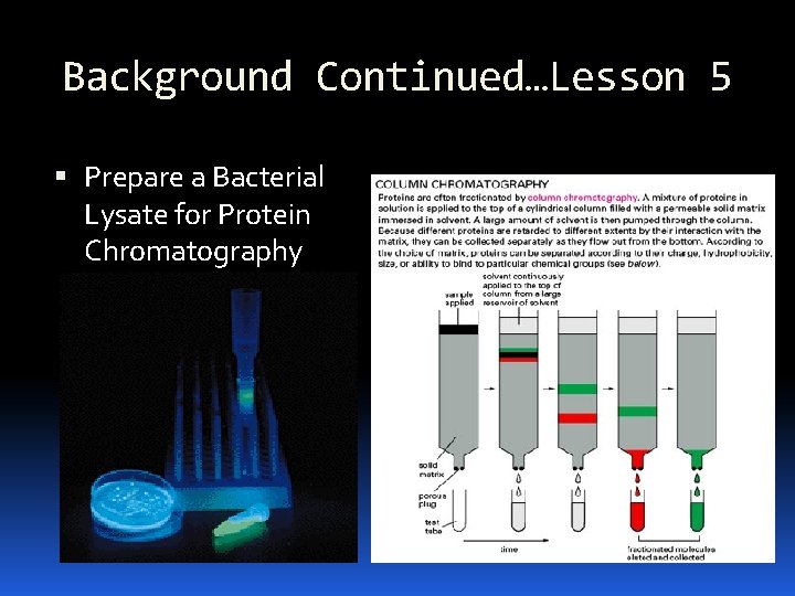 Background Continued…Lesson 5 Prepare a Bacterial Lysate for Protein Chromatography 