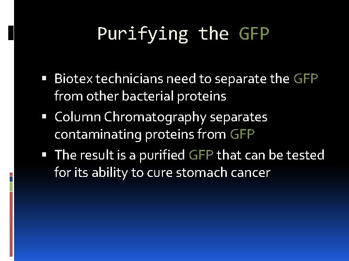 Purifying the GFP Biotex technicians need to separate the GFP from other bacterial proteins