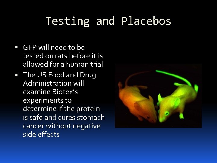Testing and Placebos GFP will need to be tested on rats before it is