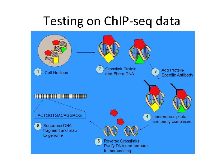 Testing on Ch. IP-seq data 