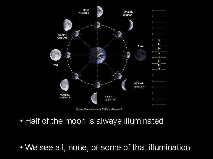  • Half of the moon is always illuminated • We see all, none,