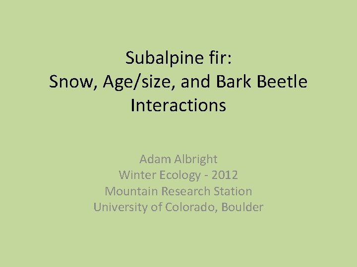 Subalpine fir: Snow, Age/size, and Bark Beetle Interactions Adam Albright Winter Ecology - 2012