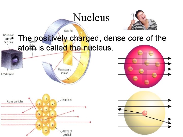 Nucleus • The positively charged, dense core of the atom is called the nucleus.
