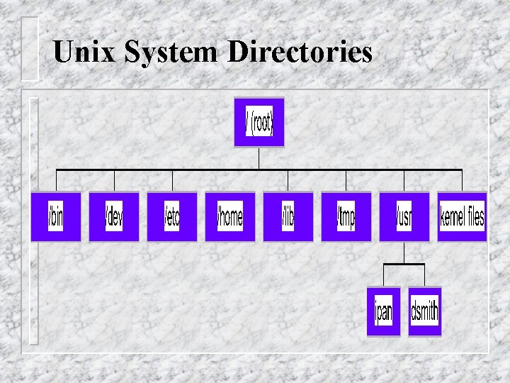 Unix System Directories 