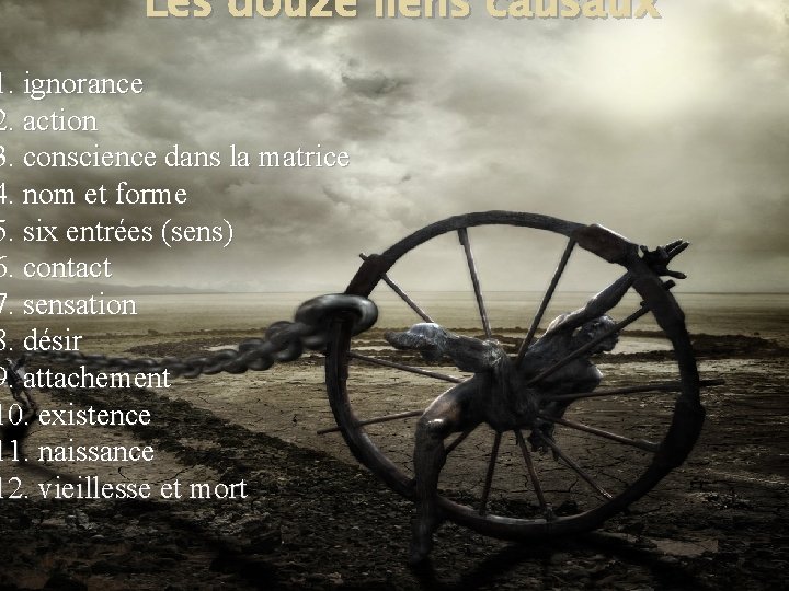 Les douze liens causaux 1. ignorance 2. action 3. conscience dans la matrice 4.