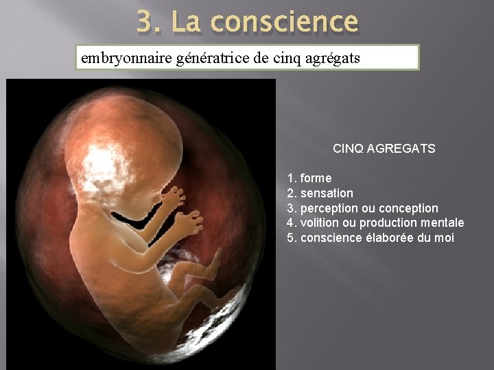 3. La conscience embryonnaire génératrice de cinq agrégats CINQ AGREGATS 1. forme 2. sensation