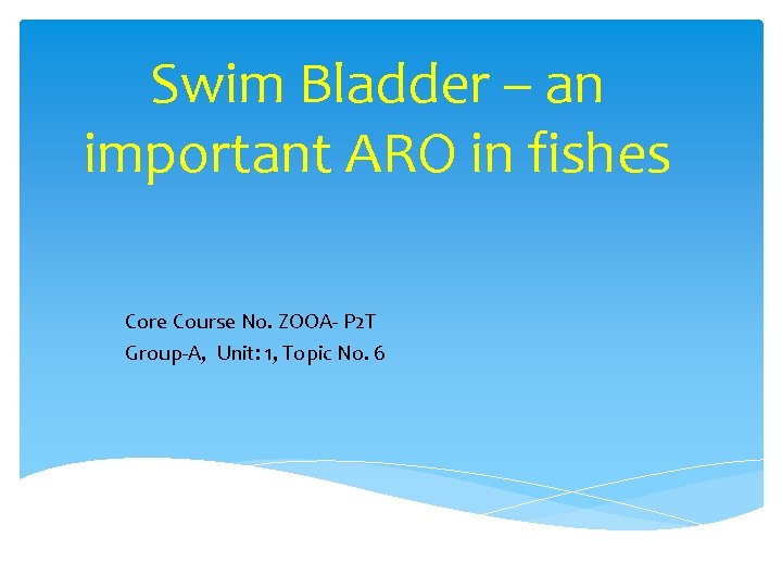 Swim Bladder – an important ARO in fishes Core Course No. ZOOA P 2