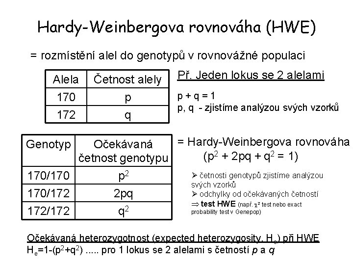 Hardy-Weinbergova rovnováha (HWE) = rozmístění alel do genotypů v rovnovážné populaci Alela 170 172