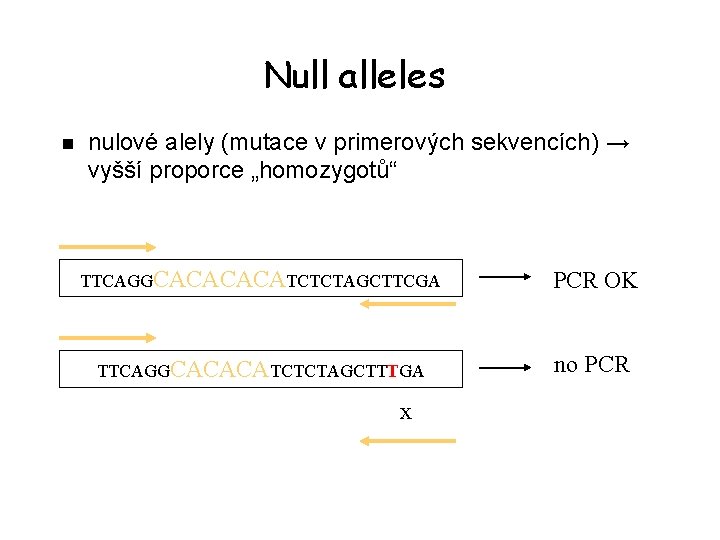 Null alleles n nulové alely (mutace v primerových sekvencích) → vyšší proporce „homozygotů“ TTCAGGCACATCTCTAGCTTCGA