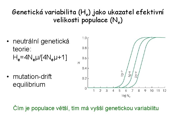 Genetická variabilita (He) jako ukazatel efektivní velikosti populace (Ne) • neutrální genetická teorie: He=4