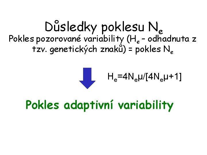 Důsledky poklesu Ne Pokles pozorované variability (He – odhadnuta z tzv. genetických znaků) =