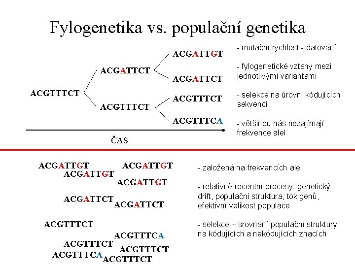 Fylogenetika vs. populační genetika ACGATTGT ACGATTCT ACGTTTCT ACGATTCT - fylogenetické vztahy mezi jednotlivými variantami
