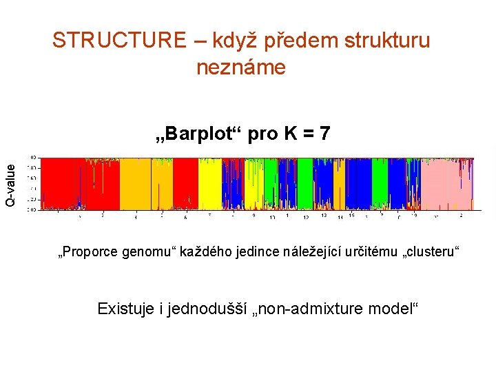 STRUCTURE – když předem strukturu neznáme Q-value „Barplot“ pro K = 7 „Proporce genomu“