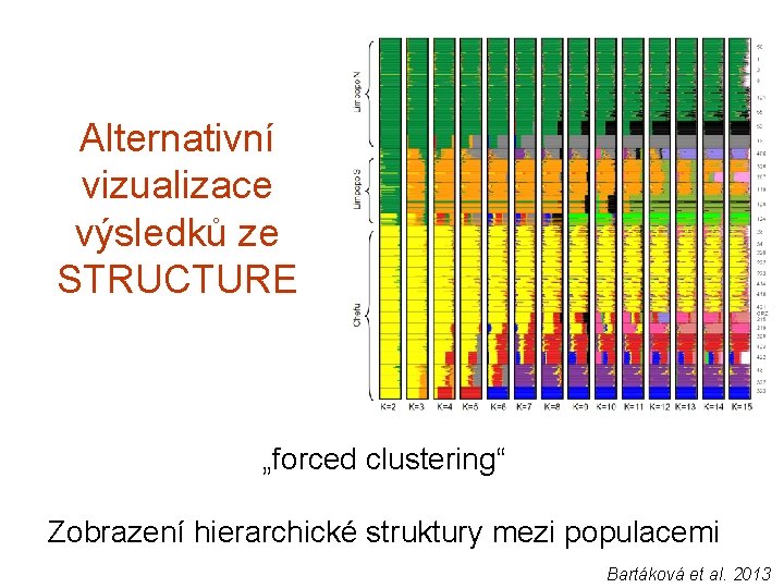 Alternativní vizualizace výsledků ze STRUCTURE „forced clustering“ Zobrazení hierarchické struktury mezi populacemi Bartáková et