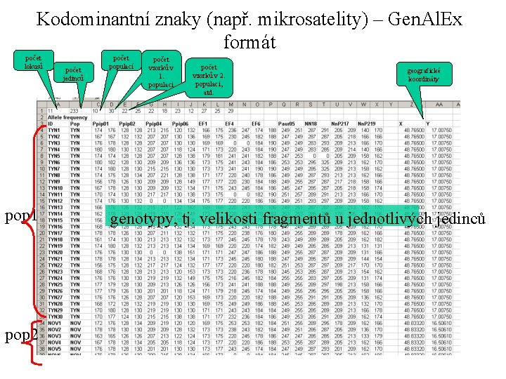 Kodominantní znaky (např. mikrosatelity) – Gen. Al. Ex formát počet lokusů pop 1 pop