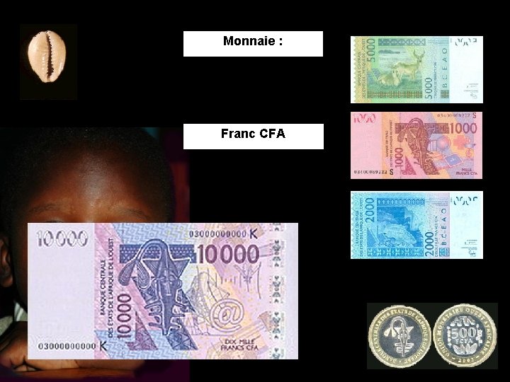 Monnaie : Franc CFA 