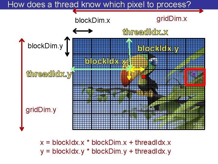 How does a thread know which pixel to process? grid. Dim. x block. Dim.