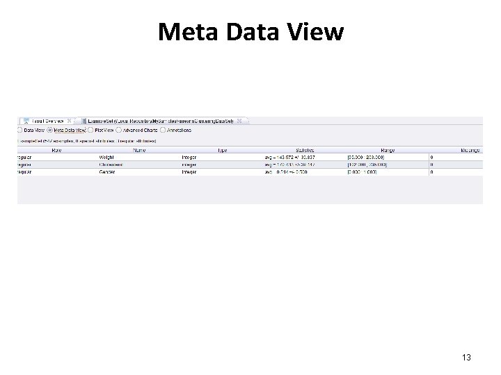 Meta Data View 13 