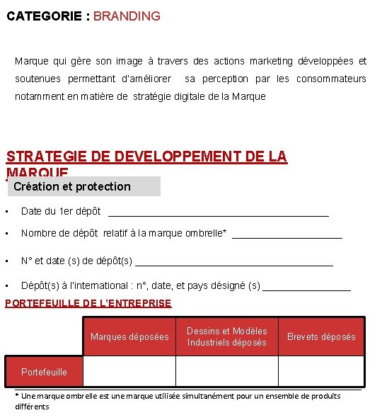 CATEGORIE : BRANDING Marque qui gère son image à travers des actions marketing développées