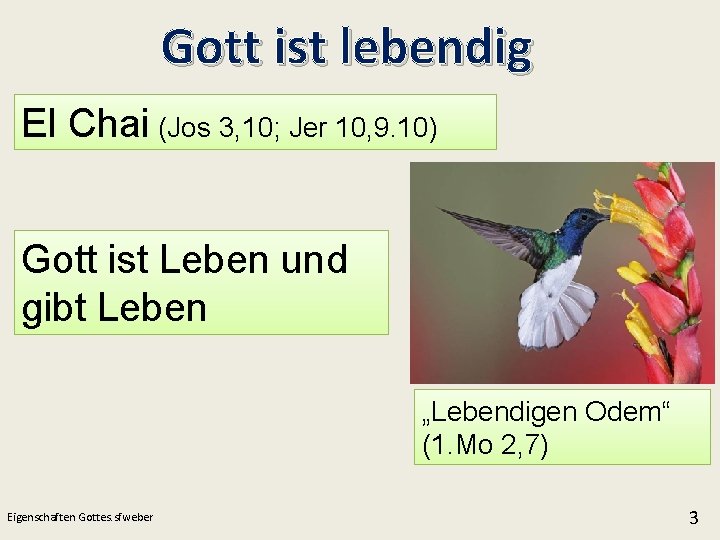 Gott ist lebendig El Chai (Jos 3, 10; Jer 10, 9. 10) Gott ist