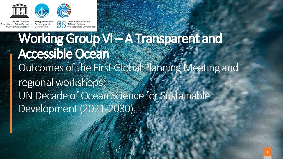 Working Group VI A Transparent and Accessible Ocean