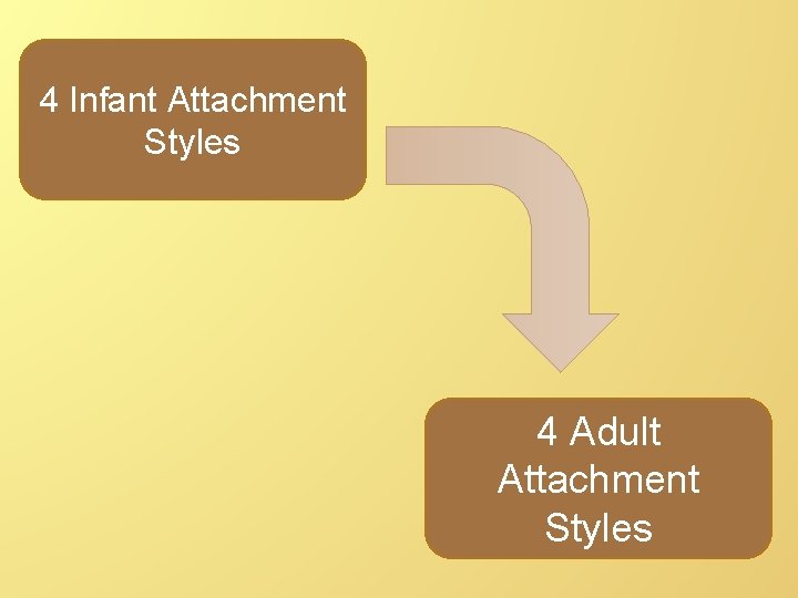 4 Infant Attachment Styles 4 Adult Attachment Styles 