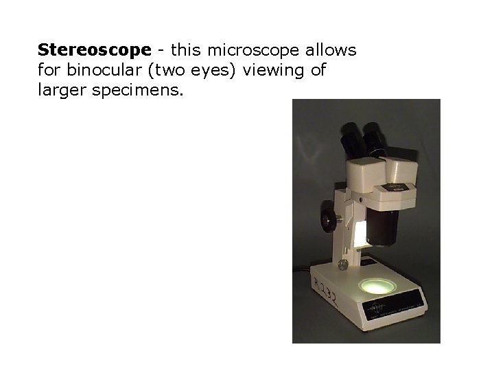 Stereoscope - this microscope allows for binocular (two eyes) viewing of larger specimens. 
