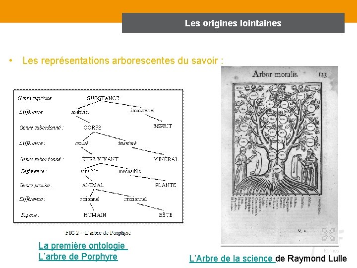 Les origines lointaines • Les représentations arborescentes du savoir : La première ontologie L’arbre