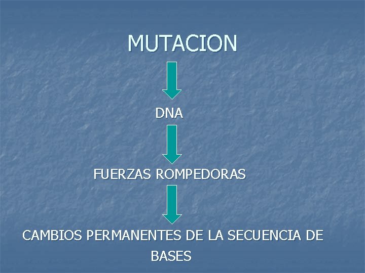 MUTACION DNA FUERZAS ROMPEDORAS CAMBIOS PERMANENTES DE LA SECUENCIA DE BASES 