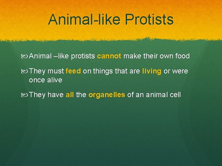 Animal-like Protists Animal –like protists cannot make their own food They must feed on