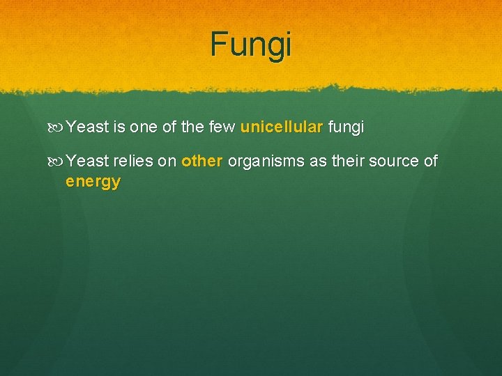 Fungi Yeast is one of the few unicellular fungi Yeast relies on other organisms