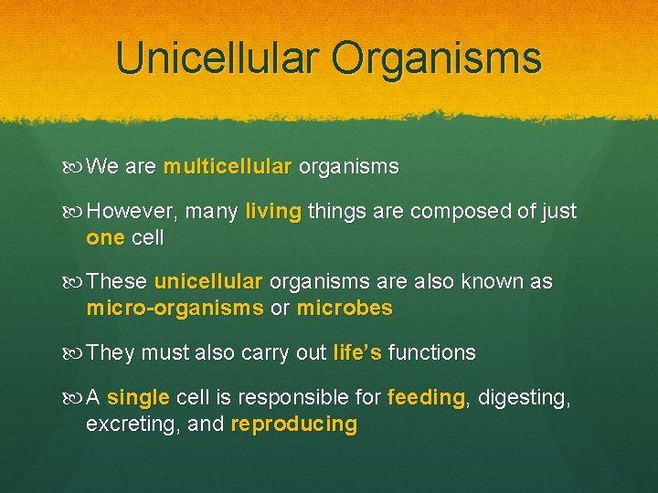 Unicellular Organisms We are multicellular organisms However, many living things are composed of just