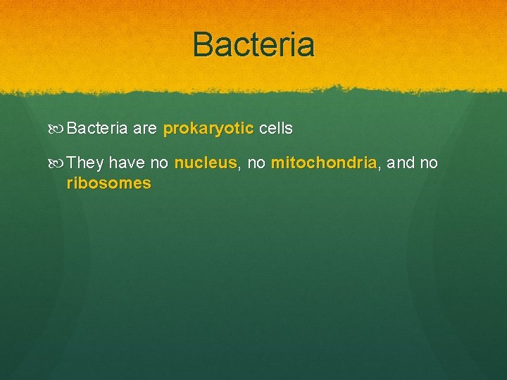 Bacteria are prokaryotic cells They have no nucleus, no mitochondria, and no ribosomes 