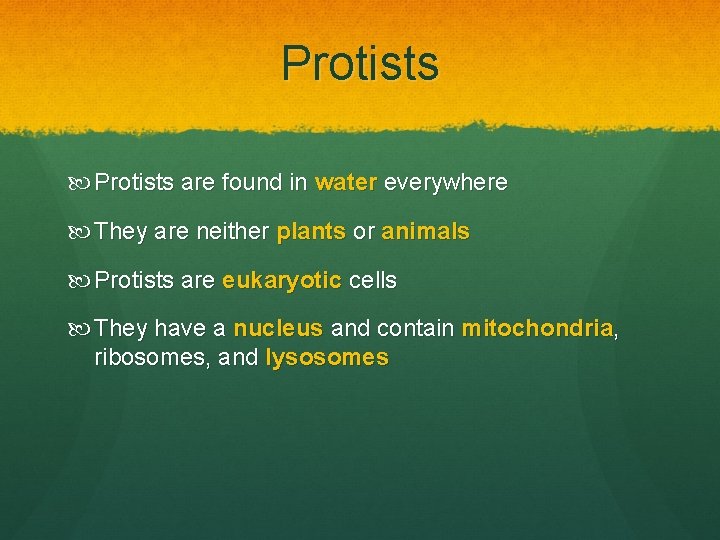 Protists are found in water everywhere They are neither plants or animals Protists are