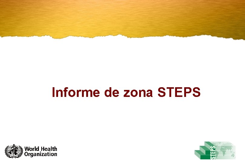 Informe de zona STEPS 