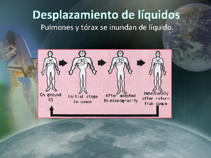 Desplazamiento de líquidos Pulmones y tórax se inundan de líquido. Desplazamiento de líquidos Pulmones y tórax se inundan de líquido.