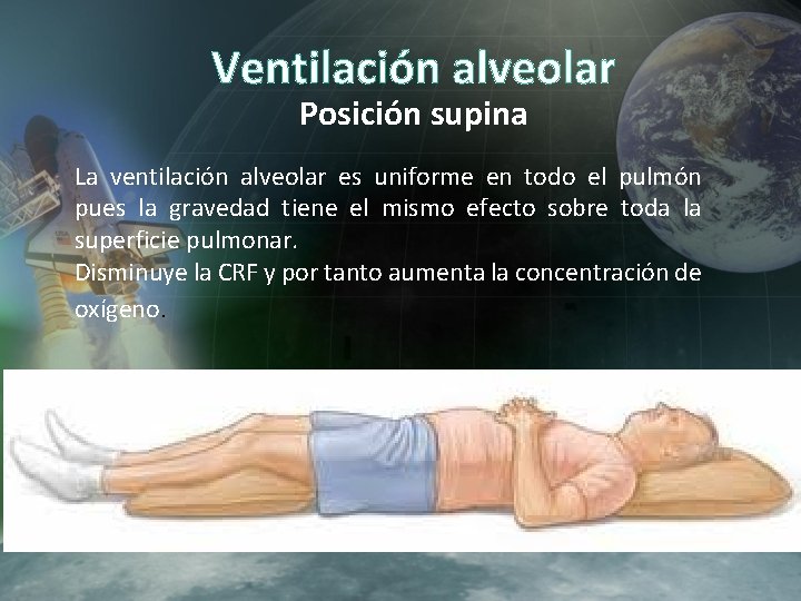 Ventilación alveolar Posición supina La ventilación alveolar es uniforme en todo el pulmón pues Ventilación alveolar Posición supina La ventilación alveolar es uniforme en todo el pulmón pues