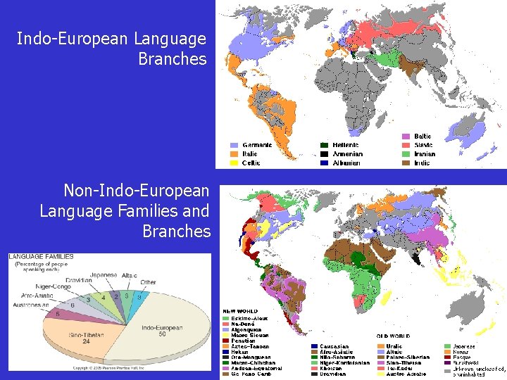 Indo-European Language Branches Non-Indo-European Language Families and Branches 